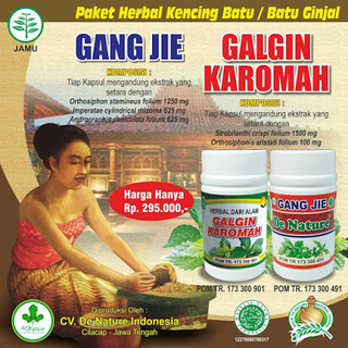 Illustration for article titled Penyakit Gagal Ginjal Itu Apa